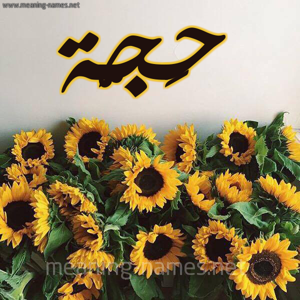 صورة اسم حَجَّة HAGAH شكل 17 صوره دوار الشمس للإسم بخط رقعة صورة اسم حَجَّة HAGAH شكل 17 صوره دوار الشمس للإسم بخط رقعة