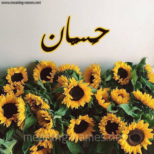 صورة اسم حَسَّان Hassan شكل 17 صوره دوار الشمس للإسم بخط رقعة صورة اسم حَسَّان Hassan شكل 17 صوره دوار الشمس للإسم بخط رقعة
