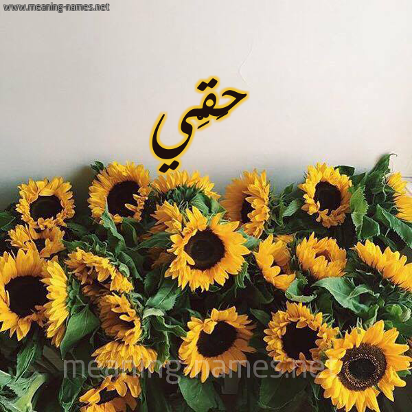 شكل 17 صوره دوار الشمس للإسم بخط رقعة صورة اسم حَقِّي HAQEI شكل 17 صوره دوار الشمس للإسم بخط رقعة صورة اسم حَقِّي HAQEI