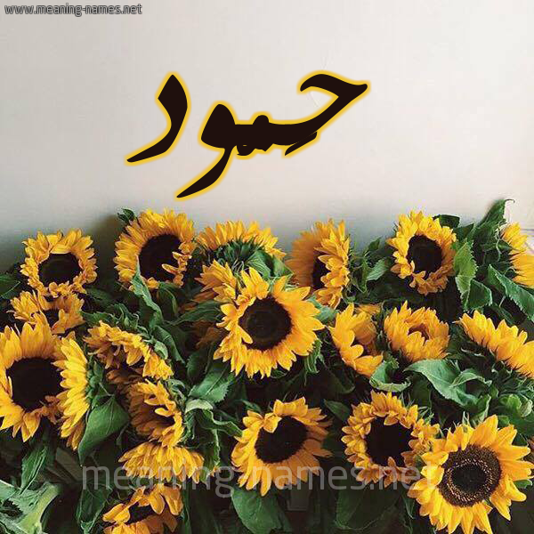 صورة اسم حَمُّود HAMOOD شكل 17 صوره دوار الشمس للإسم بخط رقعة صورة اسم حَمُّود HAMOOD شكل 17 صوره دوار الشمس للإسم بخط رقعة