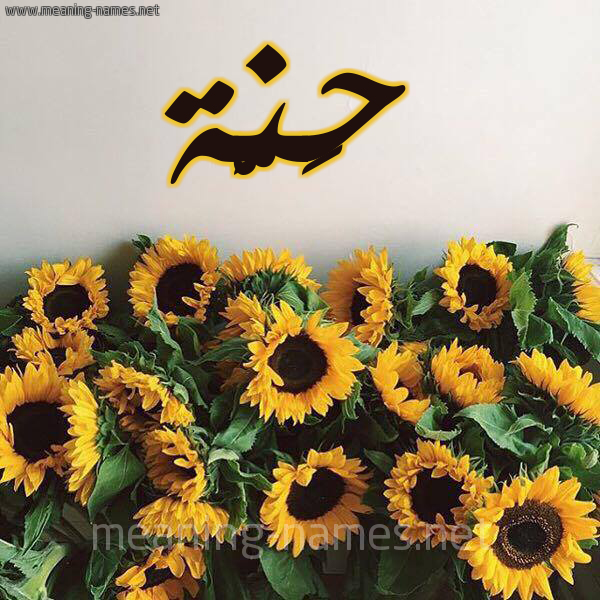 صورة اسم حَنَّة HANAH شكل 17 صوره دوار الشمس للإسم بخط رقعة صورة اسم حَنَّة HANAH شكل 17 صوره دوار الشمس للإسم بخط رقعة