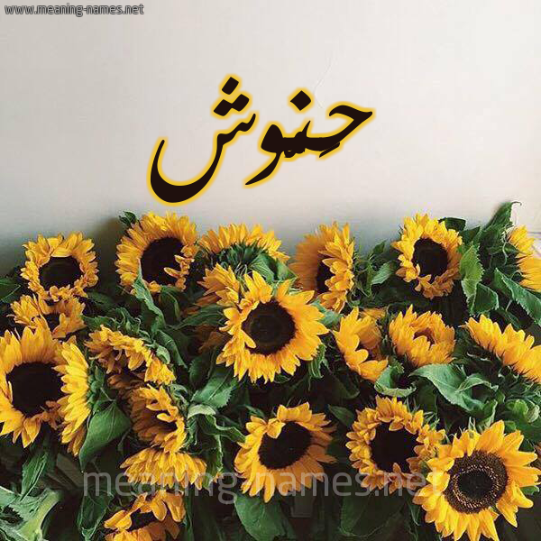 صورة اسم حَنُّوش HANOOSH شكل 17 صوره دوار الشمس للإسم بخط رقعة صورة اسم حَنُّوش HANOOSH شكل 17 صوره دوار الشمس للإسم بخط رقعة