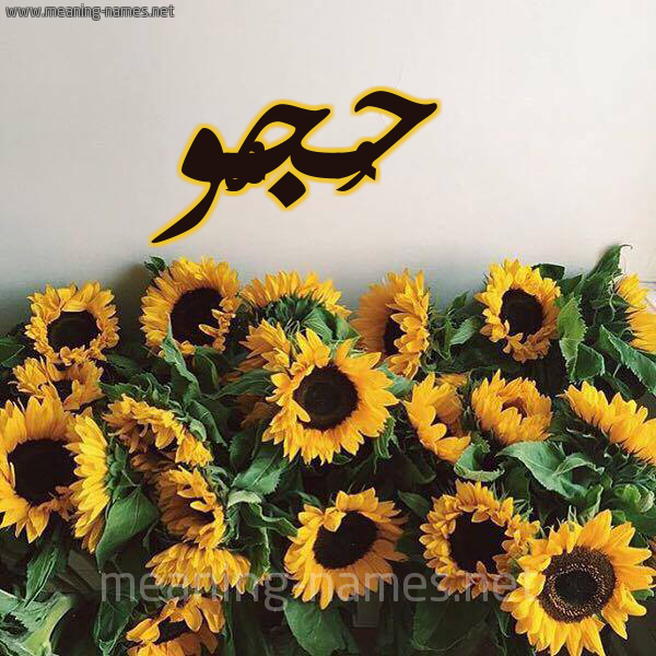 صورة اسم حُجُّو HOGOO شكل 17 صوره دوار الشمس للإسم بخط رقعة صورة اسم حُجُّو HOGOO شكل 17 صوره دوار الشمس للإسم بخط رقعة