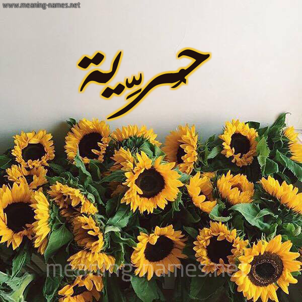 صورة اسم حُرِّية HOREIH شكل 17 صوره دوار الشمس للإسم بخط رقعة صورة اسم حُرِّية HOREIH شكل 17 صوره دوار الشمس للإسم بخط رقعة