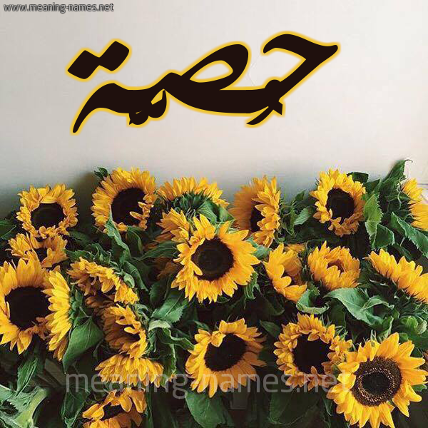 صورة اسم حُصَّة HOSAH شكل 17 صوره دوار الشمس للإسم بخط رقعة صورة اسم حُصَّة HOSAH شكل 17 صوره دوار الشمس للإسم بخط رقعة