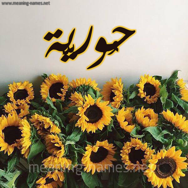 صورة اسم حُوريَّة HOORIAH شكل 17 صوره دوار الشمس للإسم بخط رقعة صورة اسم حُوريَّة HOORIAH شكل 17 صوره دوار الشمس للإسم بخط رقعة