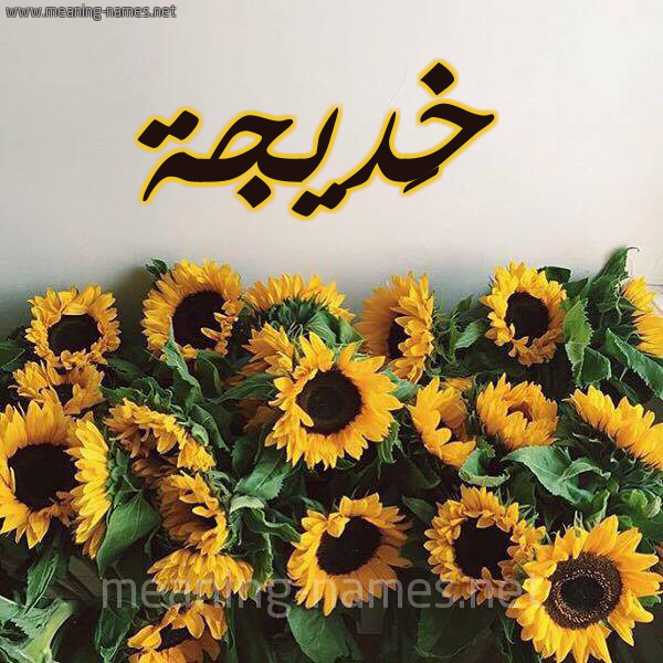 صورة اسم خَديجة Khadija شكل 17 صوره دوار الشمس للإسم بخط رقعة