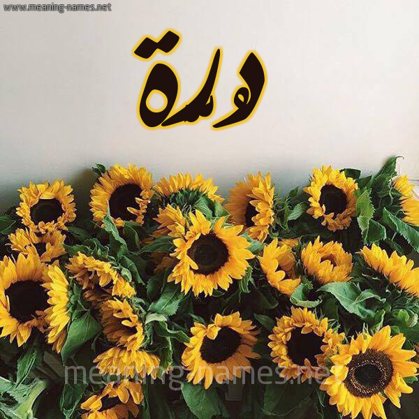 صورة اسم دُرَّة DORAH شكل 17 صوره دوار الشمس للإسم بخط رقعة صورة اسم دُرَّة DORAH شكل 17 صوره دوار الشمس للإسم بخط رقعة