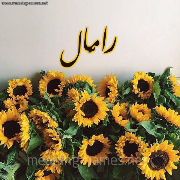 صورة اسم رامَّال Rammal شكل 17 صوره دوار الشمس للإسم بخط رقعة صورة اسم رامَّال Rammal شكل 17 صوره دوار الشمس للإسم بخط رقعة