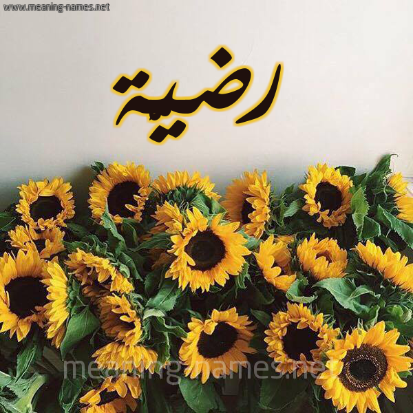 صورة اسم رضيَّة RDIAH شكل 17 صوره دوار الشمس للإسم بخط رقعة صورة اسم رضيَّة RDIAH شكل 17 صوره دوار الشمس للإسم بخط رقعة