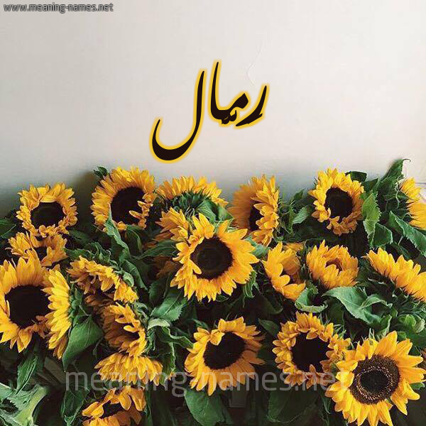 صورة اسم رَمَّال RAMAAL شكل 17 صوره دوار الشمس للإسم بخط رقعة صورة اسم رَمَّال RAMAAL شكل 17 صوره دوار الشمس للإسم بخط رقعة