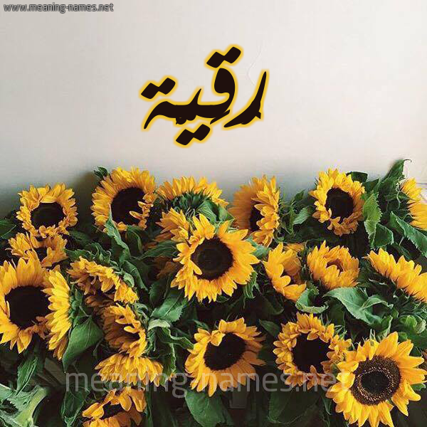 صورة اسم رُقَيَّة Rokia شكل 17 صوره دوار الشمس للإسم بخط رقعة صورة اسم رُقَيَّة Rokia شكل 17 صوره دوار الشمس للإسم بخط رقعة