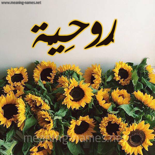 شكل 17 صوره دوار الشمس للإسم بخط رقعة صورة اسم رُوحِيَّة ROOHEIAH شكل 17 صوره دوار الشمس للإسم بخط رقعة صورة اسم رُوحِيَّة ROOHEIAH