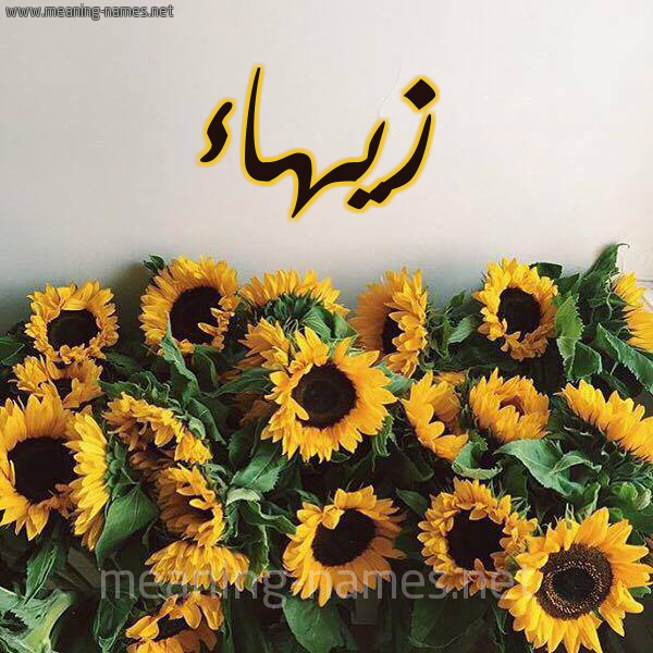 صورة اسم زيهاء Zahaa شكل 17 صوره دوار الشمس للإسم بخط رقعة