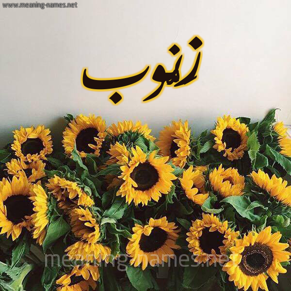 صورة اسم زَنُّوب ZANOOB شكل 17 صوره دوار الشمس للإسم بخط رقعة صورة اسم زَنُّوب ZANOOB شكل 17 صوره دوار الشمس للإسم بخط رقعة