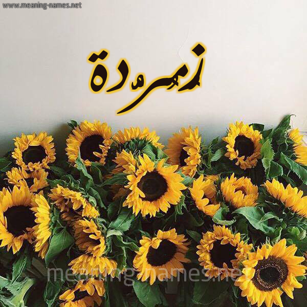 صورة اسم زُمُرُّدة ZOMORODH شكل 17 صوره دوار الشمس للإسم بخط رقعة صورة اسم زُمُرُّدة ZOMORODH شكل 17 صوره دوار الشمس للإسم بخط رقعة