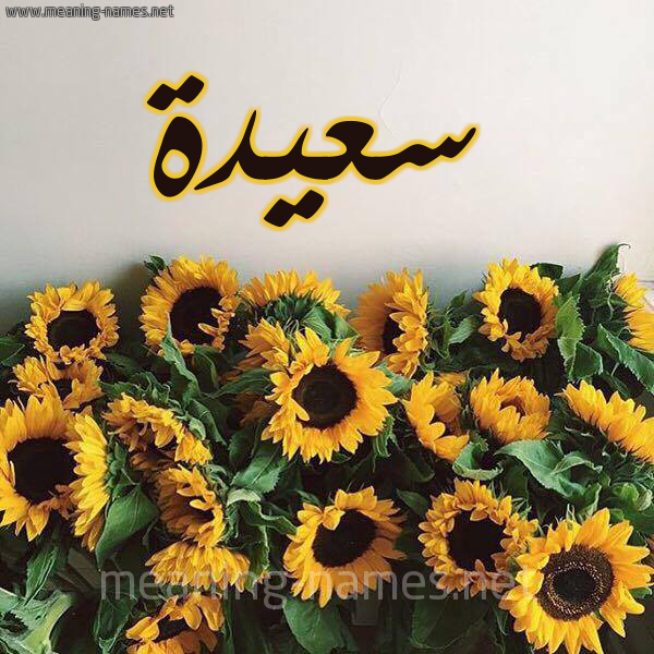 صورة اسم سعيدة Saida شكل 17 صوره دوار الشمس للإسم بخط رقعة