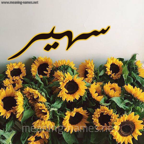 صورة اسم سهير Sohir شكل 17 صوره دوار الشمس للإسم بخط رقعة