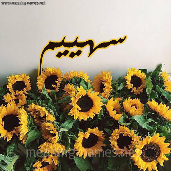 صورة اسم سهييم Sahim شكل 17 صوره دوار الشمس للإسم بخط رقعة
