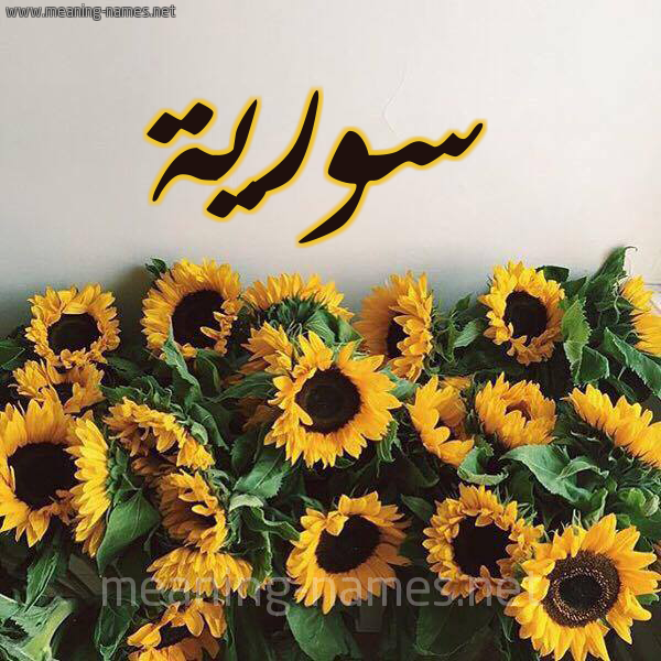 صورة اسم سورية SORIH شكل 17 صوره دوار الشمس للإسم بخط رقعة