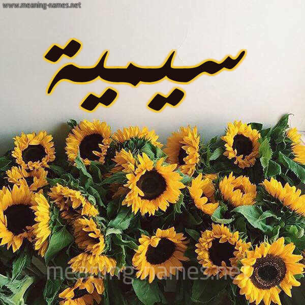 صورة اسم سيمية Sumayyah شكل 17 صوره دوار الشمس للإسم بخط رقعة