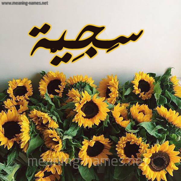 شكل 17 صوره دوار الشمس للإسم بخط رقعة صورة اسم سَجِيَّة SAGEIAH شكل 17 صوره دوار الشمس للإسم بخط رقعة صورة اسم سَجِيَّة SAGEIAH