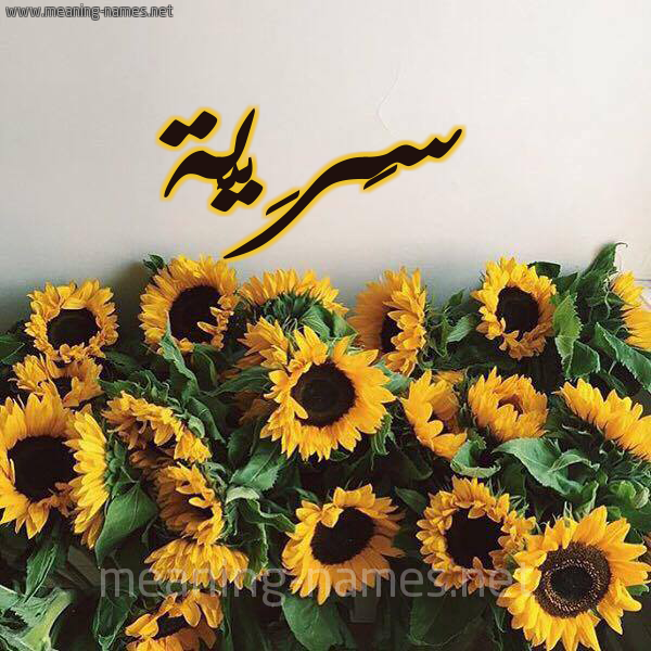 صورة اسم سَرِيَّة SAREIAH شكل 17 صوره دوار الشمس للإسم بخط رقعة صورة اسم سَرِيَّة SAREIAH شكل 17 صوره دوار الشمس للإسم بخط رقعة