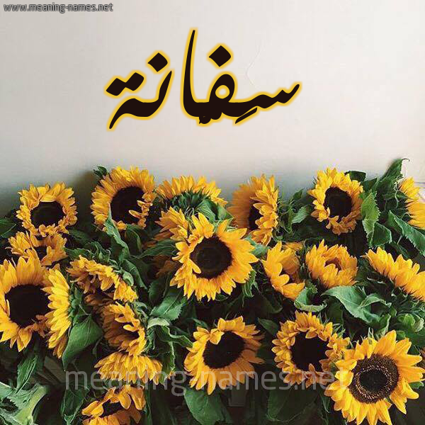 صورة اسم سَفَّانة SAFAANH شكل 17 صوره دوار الشمس للإسم بخط رقعة صورة اسم سَفَّانة SAFAANH شكل 17 صوره دوار الشمس للإسم بخط رقعة