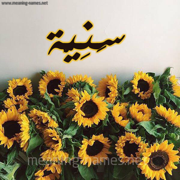 صورة اسم سَنِيَّة SANEIAH شكل 17 صوره دوار الشمس للإسم بخط رقعة صورة اسم سَنِيَّة SANEIAH شكل 17 صوره دوار الشمس للإسم بخط رقعة