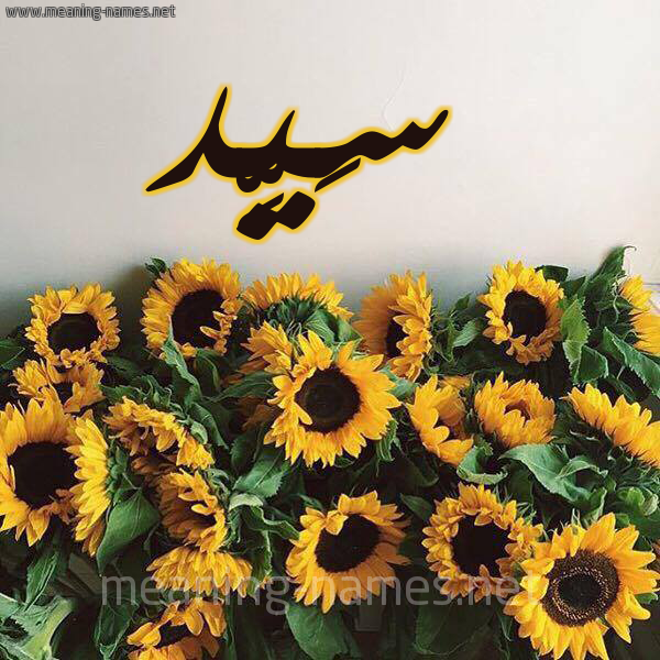 صورة اسم سَيِّد SAIED شكل 17 صوره دوار الشمس للإسم بخط رقعة صورة اسم سَيِّد SAIED شكل 17 صوره دوار الشمس للإسم بخط رقعة