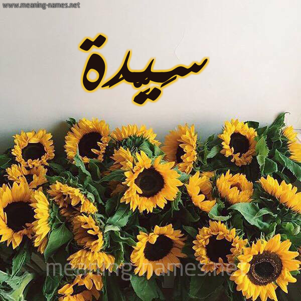 صورة اسم سَيِّدَة SAIEDAH شكل 17 صوره دوار الشمس للإسم بخط رقعة صورة اسم سَيِّدَة SAIEDAH شكل 17 صوره دوار الشمس للإسم بخط رقعة