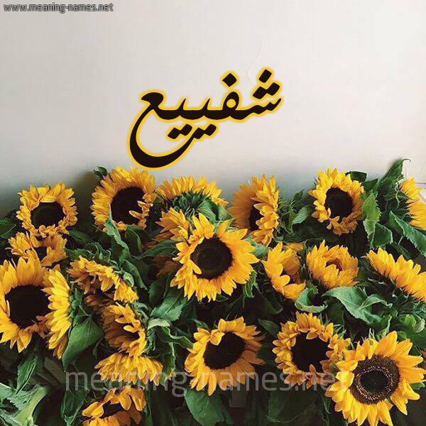 صورة اسم شفييع Shafia شكل 17 صوره دوار الشمس للإسم بخط رقعة