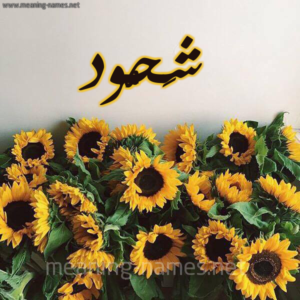 صورة اسم شَحُّود SHAHOOD شكل 17 صوره دوار الشمس للإسم بخط رقعة صورة اسم شَحُّود SHAHOOD شكل 17 صوره دوار الشمس للإسم بخط رقعة