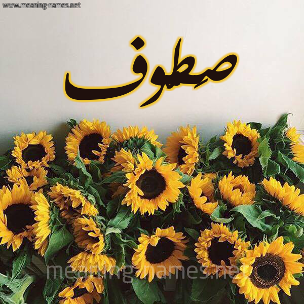 صورة اسم صَطُّوف SATOOF شكل 17 صوره دوار الشمس للإسم بخط رقعة صورة اسم صَطُّوف SATOOF شكل 17 صوره دوار الشمس للإسم بخط رقعة