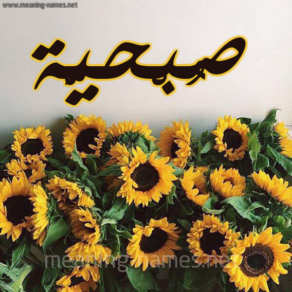 صورة اسم صُبْحيَّة SOBHIAH شكل 17 صوره دوار الشمس للإسم بخط رقعة صورة اسم صُبْحيَّة SOBHIAH شكل 17 صوره دوار الشمس للإسم بخط رقعة