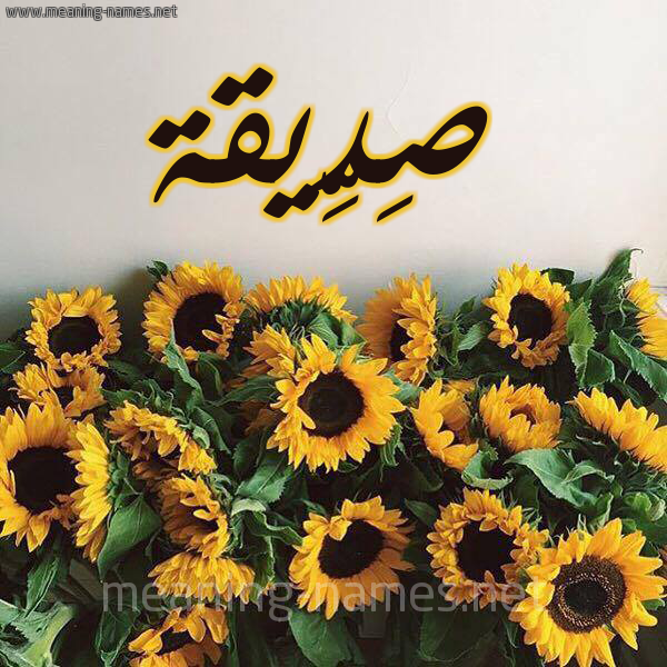 صورة اسم صِدِّيقة SEDEIQH شكل 17 صوره دوار الشمس للإسم بخط رقعة صورة اسم صِدِّيقة SEDEIQH شكل 17 صوره دوار الشمس للإسم بخط رقعة