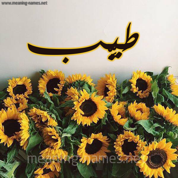 صورة اسم طَيِّب TAIEB شكل 17 صوره دوار الشمس للإسم بخط رقعة صورة اسم طَيِّب TAIEB شكل 17 صوره دوار الشمس للإسم بخط رقعة