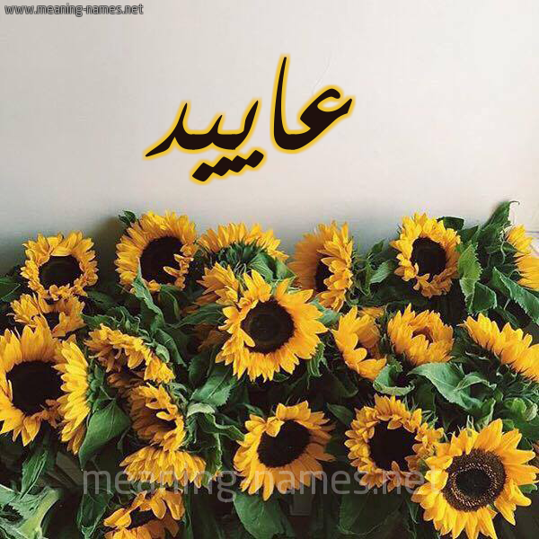 شكل 17 صوره دوار الشمس للإسم بخط رقعة صورة اسم عاييد Aaed