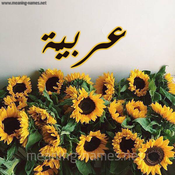 صورة اسم عربيَّة ARBIAH شكل 17 صوره دوار الشمس للإسم بخط رقعة صورة اسم عربيَّة ARBIAH شكل 17 صوره دوار الشمس للإسم بخط رقعة