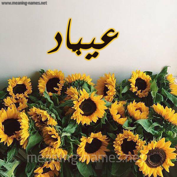 صورة اسم عيبَّاد Abbad شكل 17 صوره دوار الشمس للإسم بخط رقعة صورة اسم عيبَّاد Abbad شكل 17 صوره دوار الشمس للإسم بخط رقعة