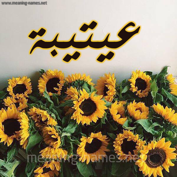 صورة اسم عيتيبة Otaiba شكل 17 صوره دوار الشمس للإسم بخط رقعة