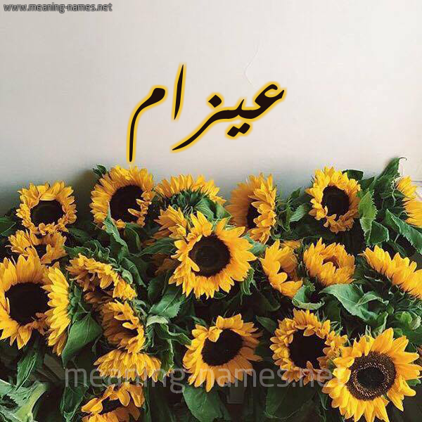 صورة اسم عيزام Azam شكل 17 صوره دوار الشمس للإسم بخط رقعة
