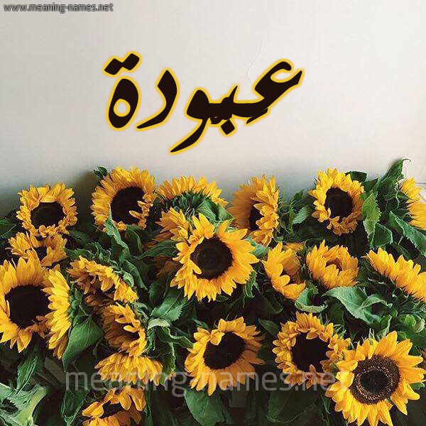 شكل 17 صوره دوار الشمس للإسم بخط رقعة صورة اسم عَبُّودة AABOODH شكل 17 صوره دوار الشمس للإسم بخط رقعة صورة اسم عَبُّودة AABOODH