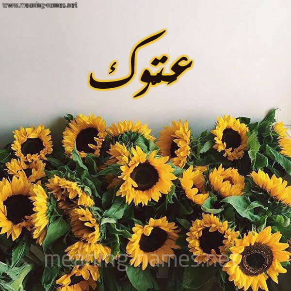 صورة اسم عَتُّوك AATOOK شكل 17 صوره دوار الشمس للإسم بخط رقعة صورة اسم عَتُّوك AATOOK شكل 17 صوره دوار الشمس للإسم بخط رقعة