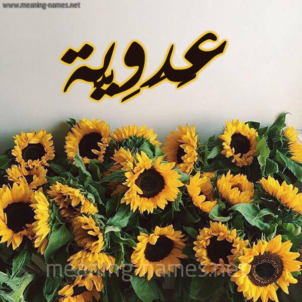 صورة اسم عَدَوِيَّة AADAOEIAH شكل 17 صوره دوار الشمس للإسم بخط رقعة صورة اسم عَدَوِيَّة AADAOEIAH شكل 17 صوره دوار الشمس للإسم بخط رقعة