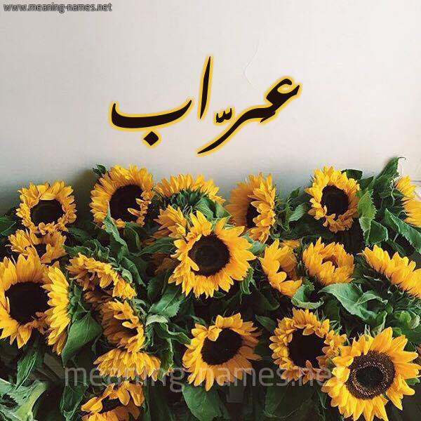 صورة اسم عَرَّاب AARAAB شكل 17 صوره دوار الشمس للإسم بخط رقعة صورة اسم عَرَّاب AARAAB شكل 17 صوره دوار الشمس للإسم بخط رقعة