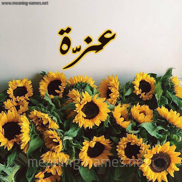 صورة اسم عَزَّة Azza شكل 17 صوره دوار الشمس للإسم بخط رقعة صورة اسم عَزَّة Azza شكل 17 صوره دوار الشمس للإسم بخط رقعة