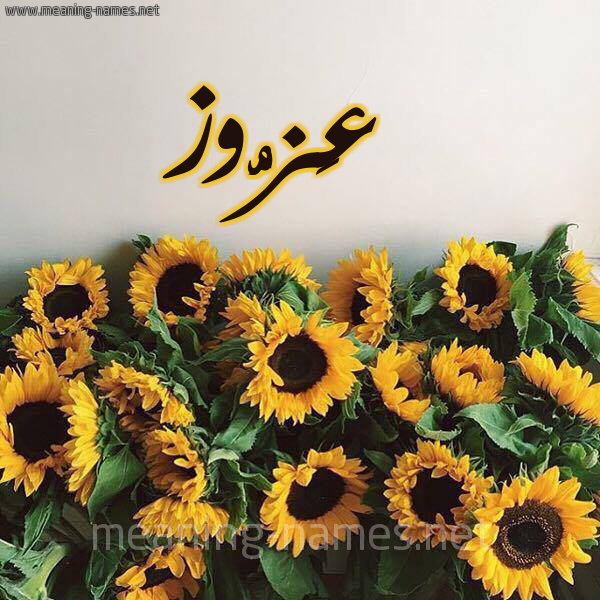 شكل 17 صوره دوار الشمس للإسم بخط رقعة صورة اسم عَزُّوز AAZOOZ شكل 17 صوره دوار الشمس للإسم بخط رقعة صورة اسم عَزُّوز AAZOOZ