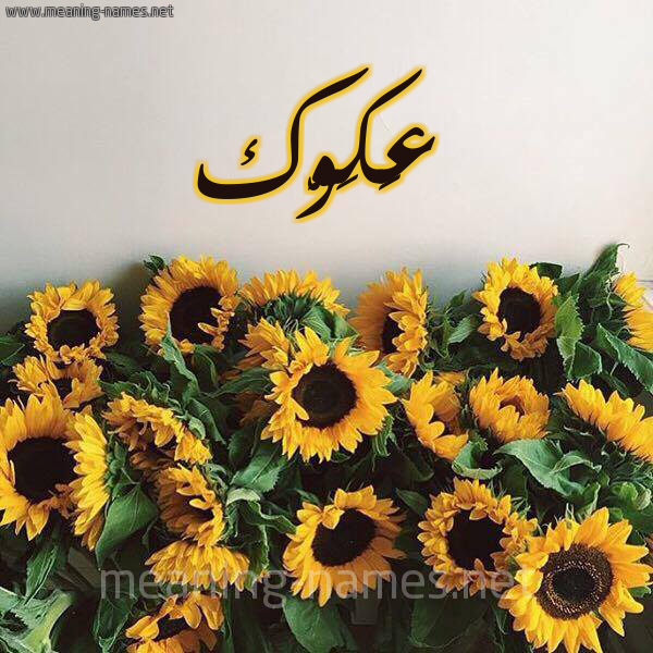 شكل 17 صوره دوار الشمس للإسم بخط رقعة صورة اسم عَكَوَّك AAKAOAK شكل 17 صوره دوار الشمس للإسم بخط رقعة صورة اسم عَكَوَّك AAKAOAK