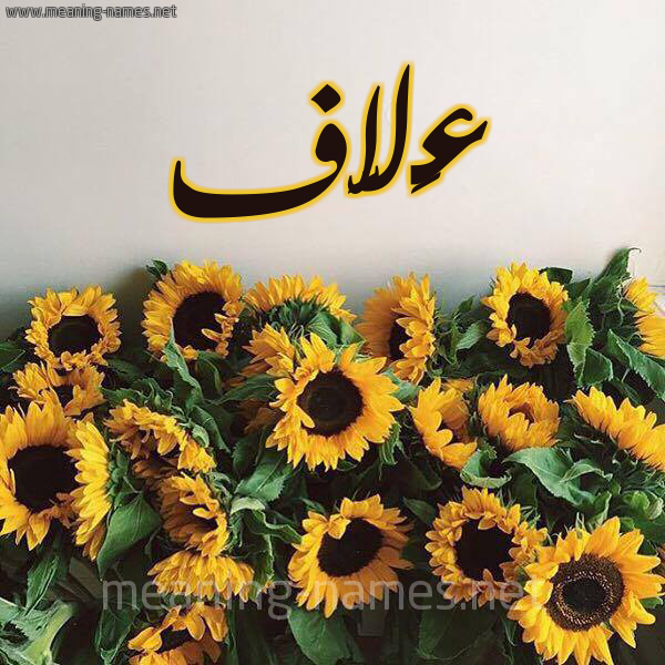 صورة اسم عَلاَّف AALAAF شكل 17 صوره دوار الشمس للإسم بخط رقعة صورة اسم عَلاَّف AALAAF شكل 17 صوره دوار الشمس للإسم بخط رقعة